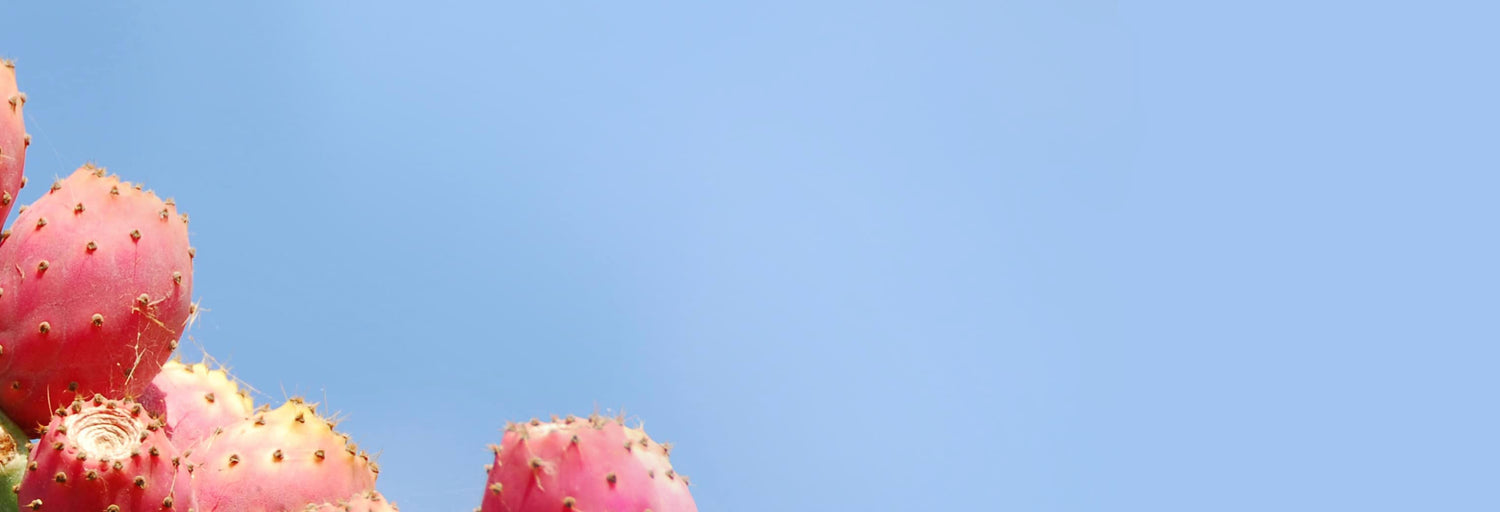 Cactus Fruit